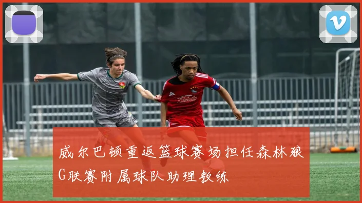 威尔巴顿重返篮球赛场担任森林狼G联赛附属球队助理教练