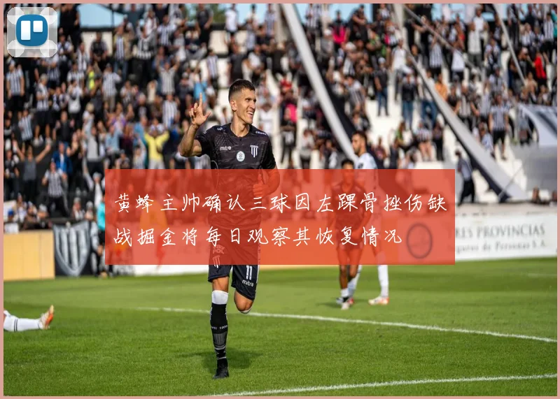 黄蜂主帅确认三球因左踝骨挫伤缺战掘金将每日观察其恢复情况